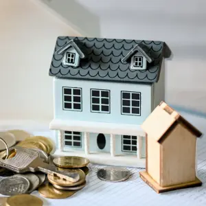 Step 1: Choose Household Rebate